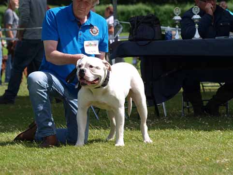 Zomershow 15 juni 2013 